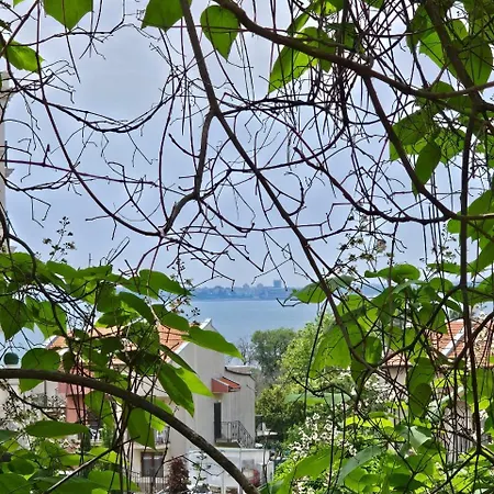 Three-room Apartment *