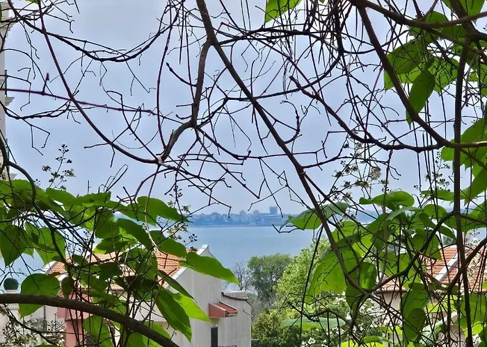 Three-room 아파트 *